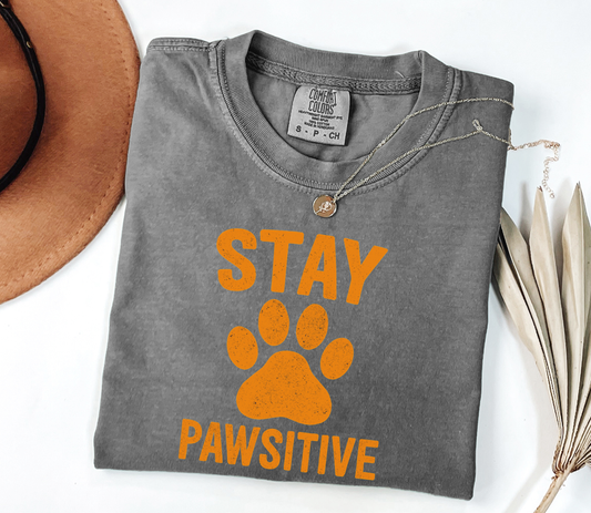 Stay Pawsitive Graphic Tee, Funny Humor Tee, Statement Shirt, Dog Lovers, Pet Lovers, Gift for Her, Gift for Him, Comfort Colors®