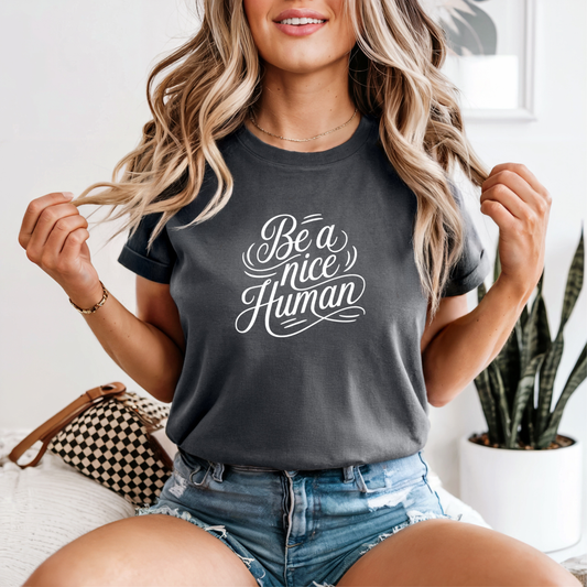 Be a nice Human Graphic Tee, Funny Humor Tee, Statement Shirt, Gift for Her, Gift for Him, Comfort Colors®