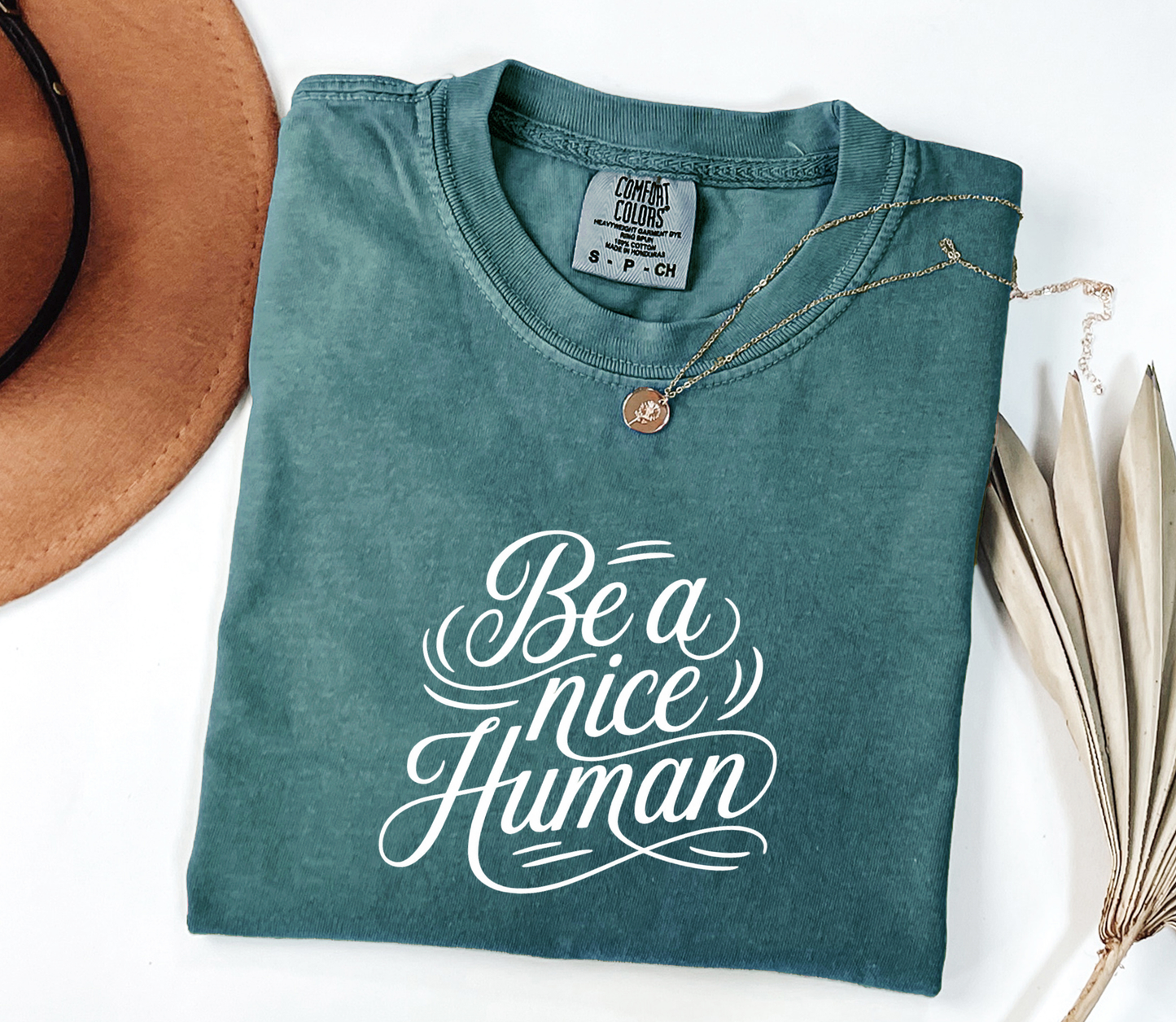 Be a nice Human Graphic Tee, Funny Humor Tee, Statement Shirt, Gift for Her, Gift for Him, Comfort Colors®