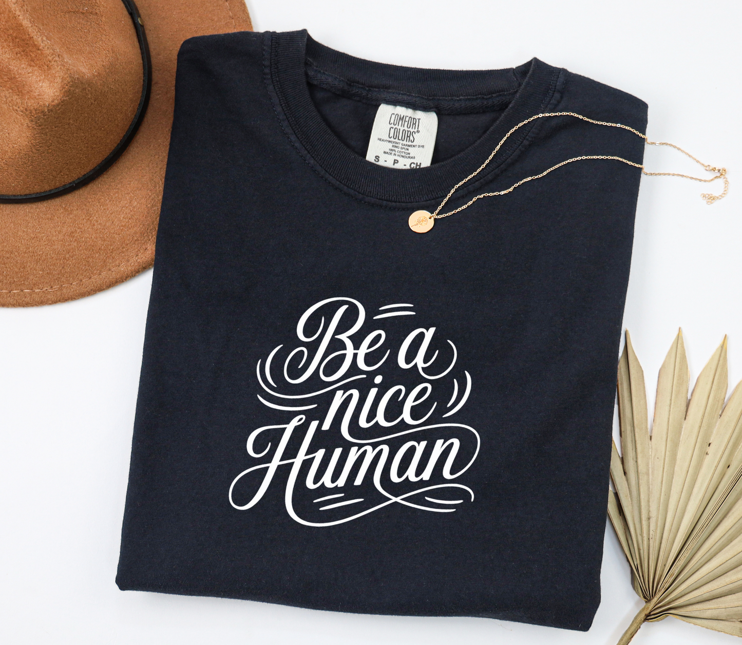 Be a nice Human Graphic Tee, Funny Humor Tee, Statement Shirt, Gift for Her, Gift for Him, Comfort Colors®