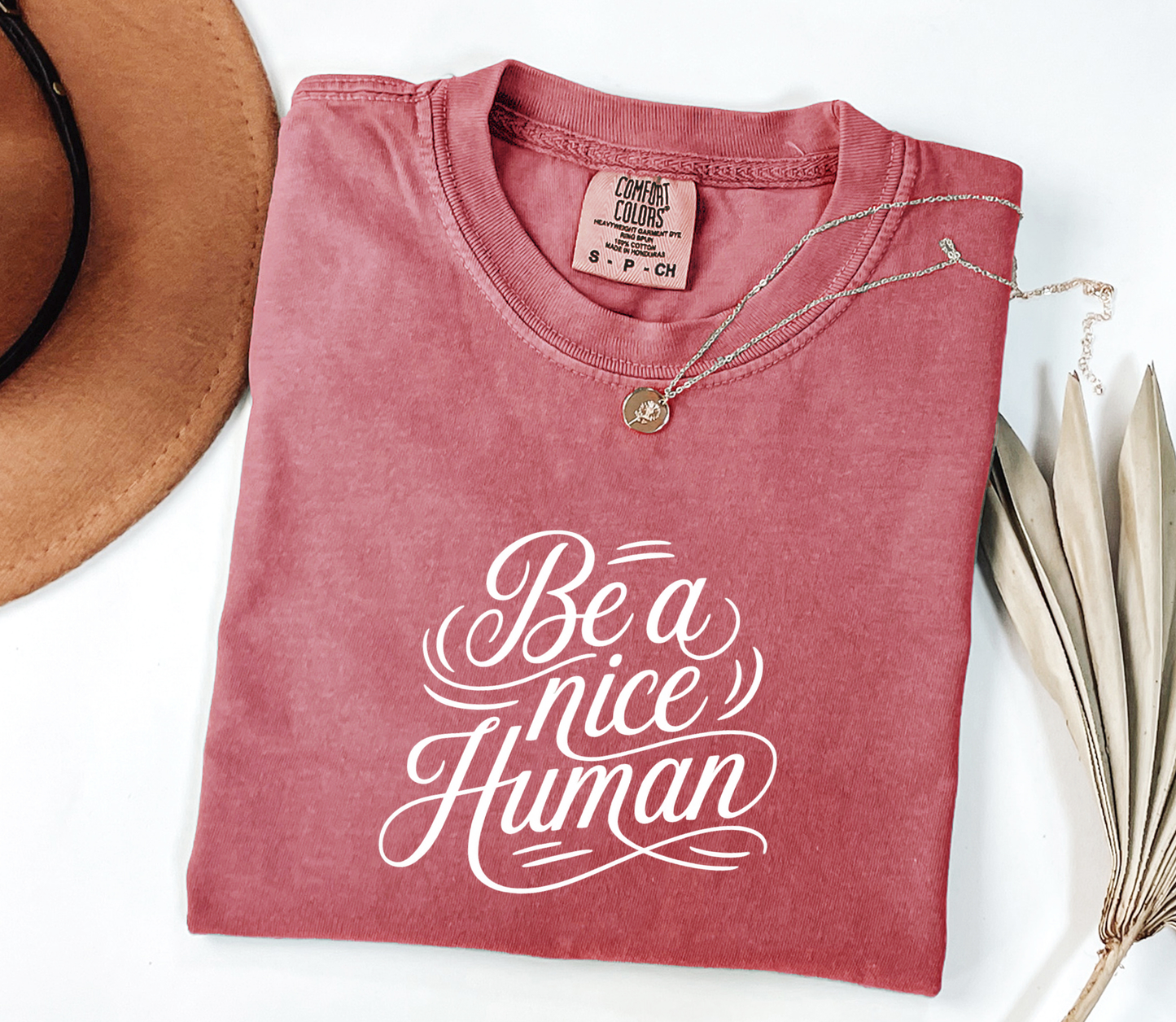 Be a nice Human Graphic Tee, Funny Humor Tee, Statement Shirt, Gift for Her, Gift for Him, Comfort Colors®